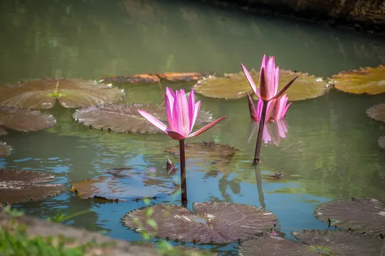 常见问题与说明